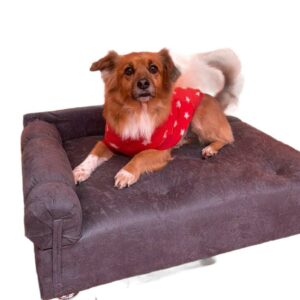 Sofá Pet Divã Para Cães E Gatos Em Varias Cores em Suede