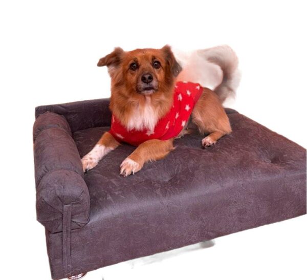 Sofá Pet Divã Para Cães E Gatos Em Varias Cores em Suede
